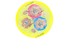 鏟運機電纜 鏟運機電纜