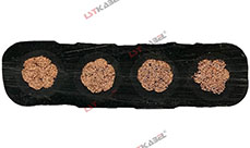 特種卷盤電纜 特種卷盤電纜